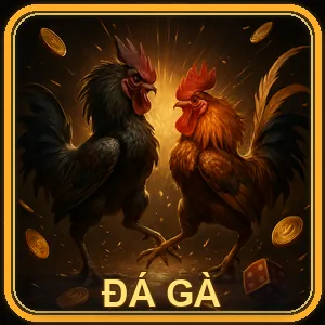 Trận đá gà cựa dao đầy máu lửa