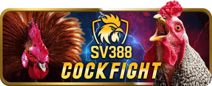 Câu hỏi thường gặp về 96win